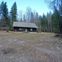 Kočevski Rog Forest - Kocevje