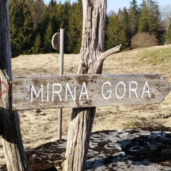 Kočevski Rog Forest - Kocevje