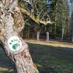 Kočevski Rog Forest - Kocevje