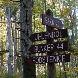 Kočevski Rog Forest - Kocevje