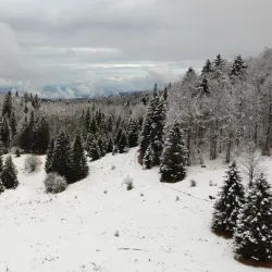 Kočevski Rog Forest - Kocevje