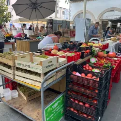 Koper Market (Koprska tržnica) - Koper