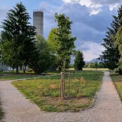 Kranj City Park (Mestni Park) - Kranj