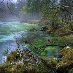 Sava River Walk - Kranj