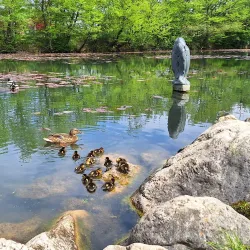 Tivoli Park - Ljubljana
