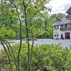 Tivoli Park - Ljubljana