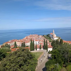 Piran Walls - Lucija