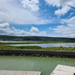 Sečovlje Salina Nature Park - Lucija