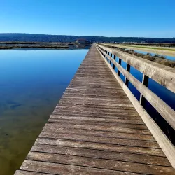 Sečovlje Salina Nature Park - Lucija