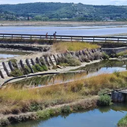 Sečovlje Salina Nature Park - Lucija