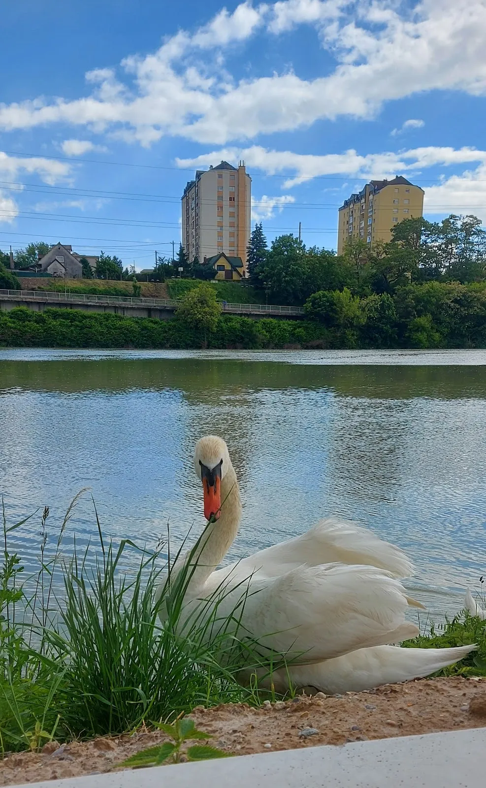 Maribor