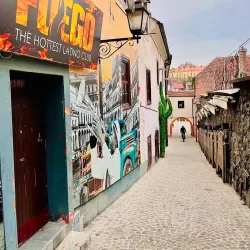 Old Vine House - Maribor