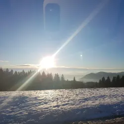 Church of St. Michael - Mozirje