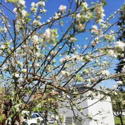 Mozirje Cultural Center - Mozirje