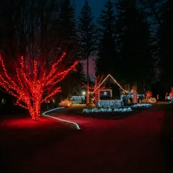 Mozirje Park (Mozirski Gaj) - Mozirje