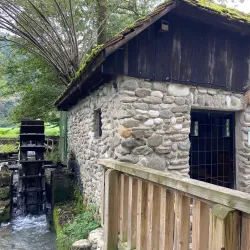 Mozirje Park (Mozirski Gaj) - Mozirje