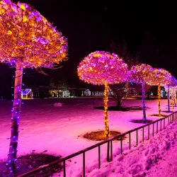 Mozirje Park (Mozirski Gaj) - Mozirje