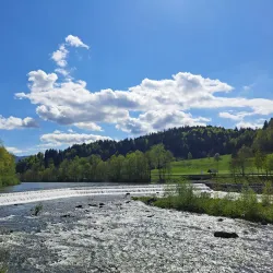 Mozirje Park (Mozirski Gaj) - Mozirje