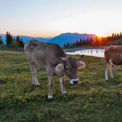 Planina Ski Resort - Mozirje