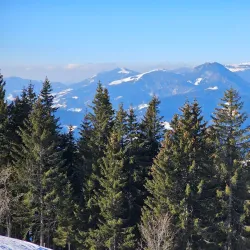 Planina Ski Resort - Mozirje