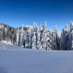 Planina Ski Resort - Mozirje