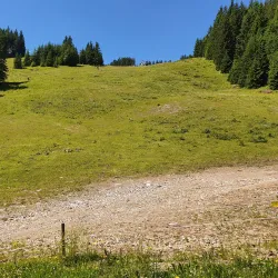 Planina Ski Resort - Mozirje
