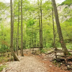 Rinka Waterfall - Mozirje