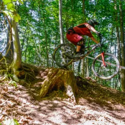 Savinja Cycling Trail - Mozirje