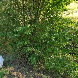 Savinja Cycling Trail - Mozirje