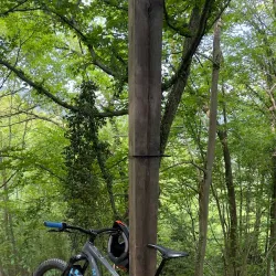 Savinja Cycling Trail - Mozirje