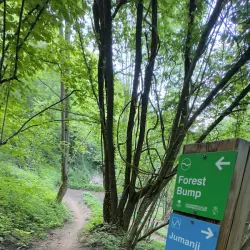 Savinja Cycling Trail - Mozirje