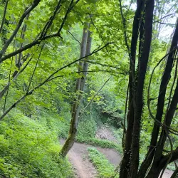 Savinja Cycling Trail - Mozirje