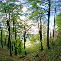 Savinja River - Mozirje