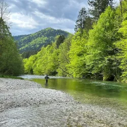 Savinja River - Mozirje