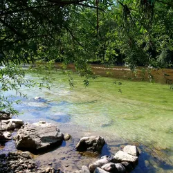 Savinja River - Mozirje