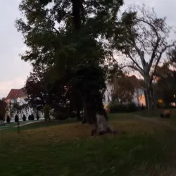 Murska Sobota Cultural Center - Murska Sobota