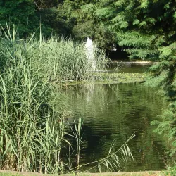 Murska Sobota Cultural Center - Murska Sobota