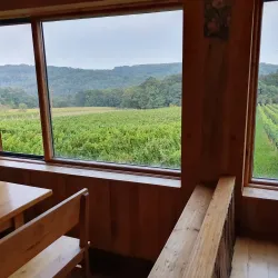 Prekmurje Wine Cellars - Murska Sobota