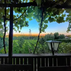 Prekmurje Wine Cellars - Murska Sobota