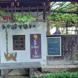 Prekmurje Wine Cellars - Murska Sobota