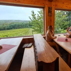 Prekmurje Wine Cellars - Murska Sobota