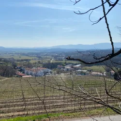 Kromberk Castle - Nova Gorica