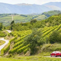 Vipavska Dolina (Vipava Valley) - Nova Gorica