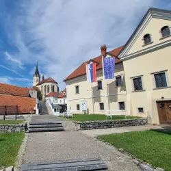 Dolenjska Museum - Novo Mesto