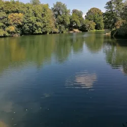 Krka River - Novo Mesto