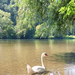 Krka River - Novo Mesto