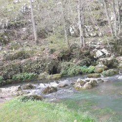 Krka River - Novo Mesto