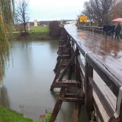 Krka River - Novo Mesto