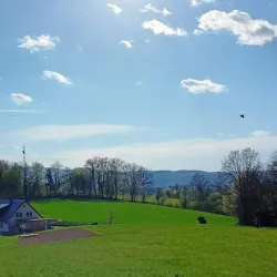 Marof Mansion - Novo Mesto