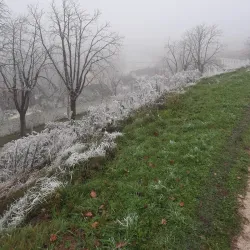 Marof Mansion - Novo Mesto